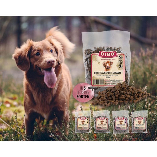 Dibo Barf Treats, 200 g Horse, Wild, Ostrich, Lamb, Duck Dog Snack, Small and Practical Training Dog Treats, Sugar-Free, Healthy and Delicious (Lamb) Dibo Barf Treats, 200 g Horse, Wild, Ostrich, Lamb, Duck Dog Snack, Small and Practical Training Dog Treats, Sugar-Free, Healthy and Delicious (Lamb)