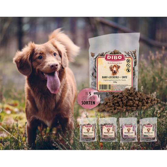 Dibo Barf Treats, 200 g Horse, Wild, Ostrich, Lamb, Duck Dog Snack, Small and Practical Training Dog Treats, Sugar-Free, Healthy and Delicious (Lamb) Dibo Barf Treats, 200 g Horse, Wild, Ostrich, Lamb, Duck Dog Snack, Small and Practical Training Dog Treats, Sugar-Free, Healthy and Delicious (Lamb)