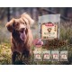Dibo Barf Treats, 200 g Horse, Wild, Ostrich, Lamb, Duck Dog Snack, Small and Practical Training Dog Treats, Sugar-Free, Healthy and Delicious (Lamb) Dibo Barf Treats, 200 g Horse, Wild, Ostrich, Lamb, Duck Dog Snack, Small and Practical Training Dog Treats, Sugar-Free, Healthy and Delicious (Lamb)