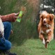 Edgard Cooper Hundeleckerli, Top Dog Bites (Lamm, 50g x 1) Kleine Bites, Leckerlis, Getreidefrei, Natürliche Zutaten, hoher Proteingehalt, frisches Fleisch und frischer Fisch Edgard Cooper Hundeleckerli, Top Dog Bites (Lamm, 50g x 1) Kleine Bites, Leckerlis, Getreidefrei, Natürliche Zutaten, hoher Proteingehalt, frisches Fleisch und frischer Fisch