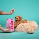 Edgard Cooper Hundeleckerli, Top Dog Bites (Lamm, 50g x 1) Kleine Bites, Leckerlis, Getreidefrei, Natürliche Zutaten, hoher Proteingehalt, frisches Fleisch und frischer Fisch Edgard Cooper Hundeleckerli, Top Dog Bites (Lamm, 50g x 1) Kleine Bites, Leckerlis, Getreidefrei, Natürliche Zutaten, hoher Proteingehalt, frisches Fleisch und frischer Fisch