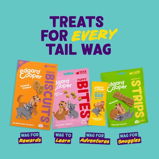 Edgard Cooper Hundeleckerli, Top Dog Bites (Lamm, 50g x 1) Kleine Bites, Leckerlis, Getreidefrei, Natürliche Zutaten, hoher Proteingehalt, frisches Fleisch und frischer Fisch Edgard Cooper Hundeleckerli, Top Dog Bites (Lamm, 50g x 1) Kleine Bites, Leckerlis, Getreidefrei, Natürliche Zutaten, hoher Proteingehalt, frisches Fleisch und frischer Fisch