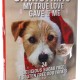 Flamingo Christmas Calendar Chick'n Snack Dog 24 Pieces 295G Flamingo Christmas Calendar Chick'n Snack Dog 24 Pieces 295G