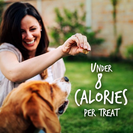 Fruitables Pumpkin & Apple Crunchy Dog Treats 1-7 oz Pouch Fruitables Pumpkin & Apple Crunchy Dog Treats 1-7 oz Pouch
