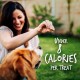 Fruitables Pumpkin & Apple Crunchy Dog Treats 1-7 oz Pouch Fruitables Pumpkin & Apple Crunchy Dog Treats 1-7 oz Pouch