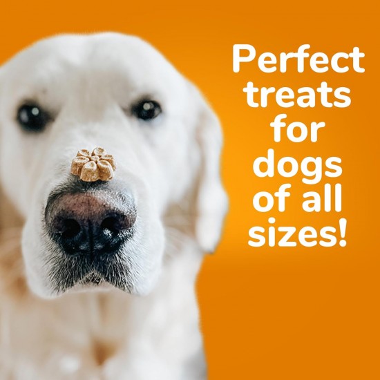 Fruitables Pumpkin & Apple Crunchy Dog Treats 1-7 oz Pouch Fruitables Pumpkin & Apple Crunchy Dog Treats 1-7 oz Pouch