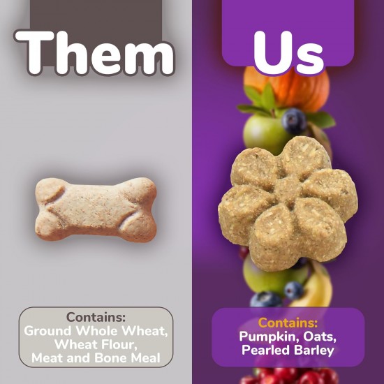 Fruitables Pumpkin & Apple Crunchy Dog Treats 1-7 oz Pouch Fruitables Pumpkin & Apple Crunchy Dog Treats 1-7 oz Pouch