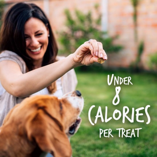 Fruitables Pumpkin & Apple Crunchy Dog Treats 1-7 oz Pouch Fruitables Pumpkin & Apple Crunchy Dog Treats 1-7 oz Pouch