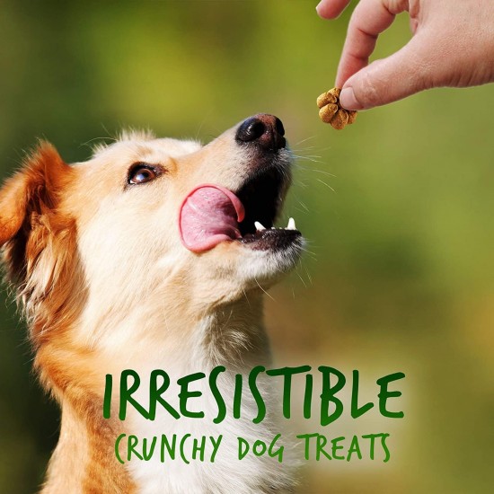 Fruitables Pumpkin & Apple Crunchy Dog Treats 1-7 oz Pouch Fruitables Pumpkin & Apple Crunchy Dog Treats 1-7 oz Pouch