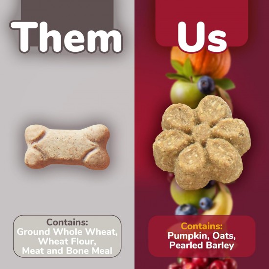 Fruitables Pumpkin & Apple Crunchy Dog Treats 1-7 oz Pouch Fruitables Pumpkin & Apple Crunchy Dog Treats 1-7 oz Pouch