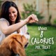 Fruitables Pumpkin & Apple Crunchy Dog Treats 1-7 oz Pouch Fruitables Pumpkin & Apple Crunchy Dog Treats 1-7 oz Pouch