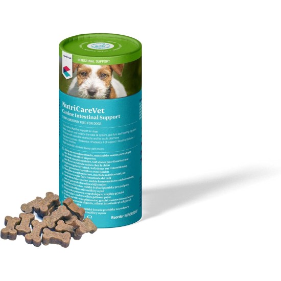 NUTRICAREVET Gastro 60CHEWS Dog Covetrus NUTRICAREVET Gastro 60CHEWS Dog Covetrus