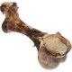 Nobby Cattle Bone, Large