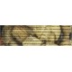 Nobby White-n-Tasty Knotted Bone, 58 - 60 cm, 590 g Nobby White-n-Tasty Knotted Bone, 58 - 60 cm, 590 g