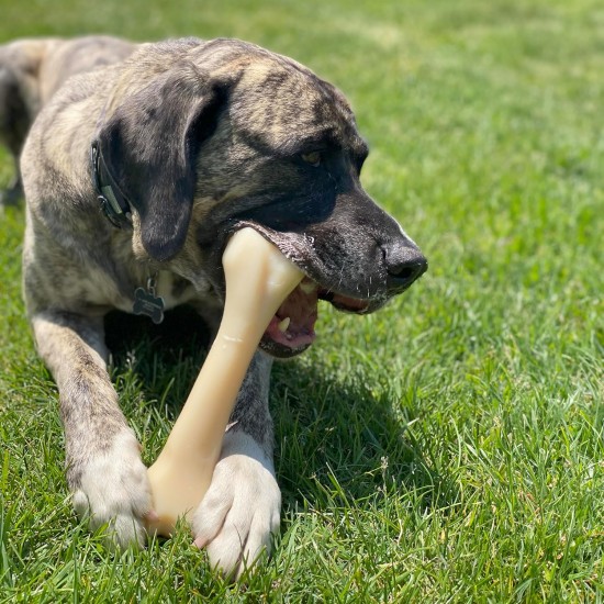 Nylabone Dura Chicken Chew, X-Large Nylabone Dura Chicken Chew, X-Large