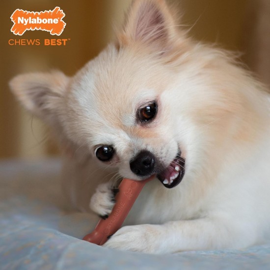 Nylabone Dura Chicken Chew, X-Large Nylabone Dura Chicken Chew, X-Large