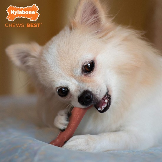Nylabone Dura Chicken Chew, X-Large Nylabone Dura Chicken Chew, X-Large