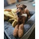 Nylabone Dura Chicken Chew, X-Large