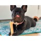 Nylabone Dura Chicken Chew, X-Large Nylabone Dura Chicken Chew, X-Large