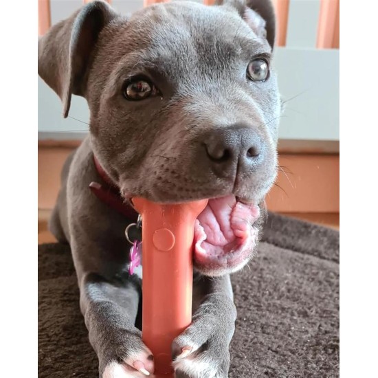 Nylabone Dura Chicken Chew, X-Large Nylabone Dura Chicken Chew, X-Large