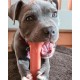 Nylabone Dura Chicken Chew, X-Large Nylabone Dura Chicken Chew, X-Large