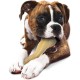 Nylabone Dura Chicken Chew, X-Large Nylabone Dura Chicken Chew, X-Large