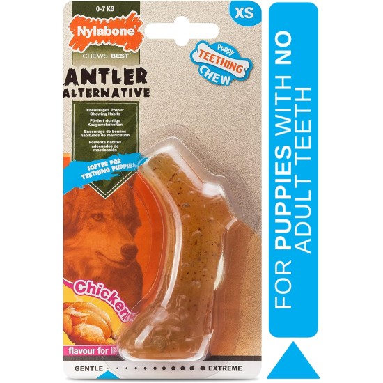 Nylabone Interpet NPBB001PEU Puppies, Beef Bone - Cattle Flavour, S Nylabone Interpet NPBB001PEU Puppies, Beef Bone - Cattle Flavour, S