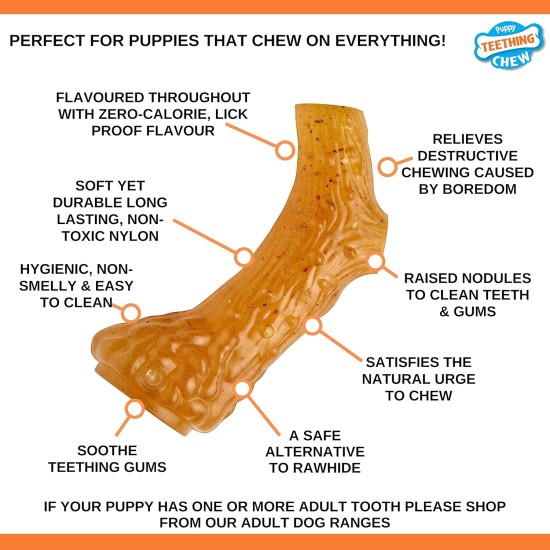 Nylabone Interpet NPBB001PEU Puppies, Beef Bone - Cattle Flavour, S Nylabone Interpet NPBB001PEU Puppies, Beef Bone - Cattle Flavour, S