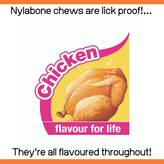 Nylabone Interpet NPBB001PEU Puppies, Beef Bone - Cattle Flavour, S Nylabone Interpet NPBB001PEU Puppies, Beef Bone - Cattle Flavour, S