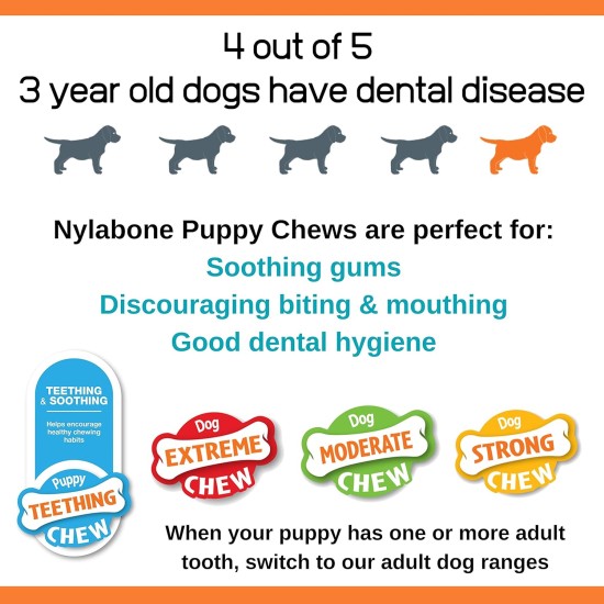 Nylabone Interpet NPBB001PEU Puppies, Beef Bone - Cattle Flavour, S Nylabone Interpet NPBB001PEU Puppies, Beef Bone - Cattle Flavour, S