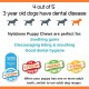Nylabone Interpet NPBB001PEU Puppies, Beef Bone - Cattle Flavour, S Nylabone Interpet NPBB001PEU Puppies, Beef Bone - Cattle Flavour, S
