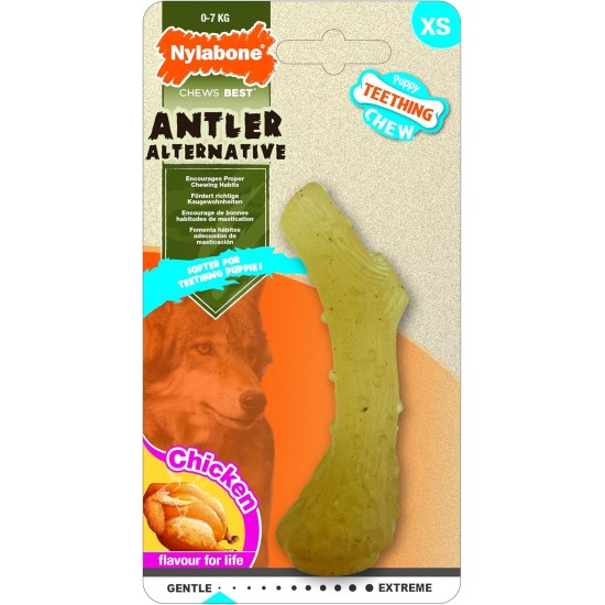 Nylabone Interpet NPBB001PEU Puppies, Beef Bone - Cattle Flavour, S Nylabone Interpet NPBB001PEU Puppies, Beef Bone - Cattle Flavour, S