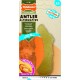 Nylabone Interpet NPBB001PEU Puppies, Beef Bone - Cattle Flavour, S Nylabone Interpet NPBB001PEU Puppies, Beef Bone - Cattle Flavour, S