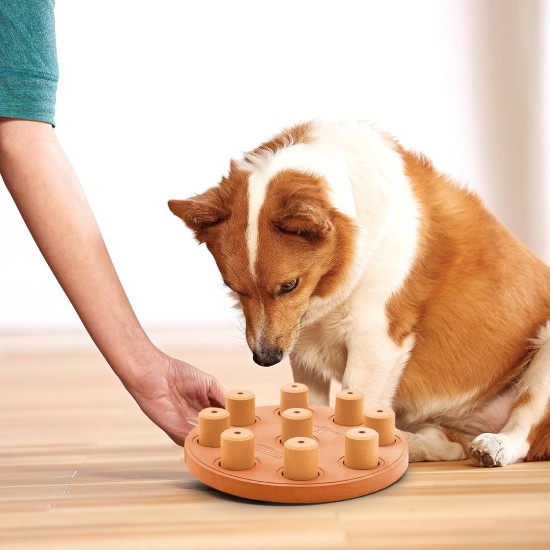 Outward Hound Nina Ottosson Replacement Toy Bone for Dog Thinking Toys, Pack of 5 Outward Hound Nina Ottosson Replacement Toy Bone for Dog Thinking Toys, Pack of 5