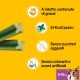 Pedigree Dentastix Fresh 140 Snack for Oral Hygiene (Small Dog 5-10 kg) 550 g 35 Pieces - 4 Packs of 35 (140 Total) Pedigree Dentastix Fresh 140 Snack for Oral Hygiene (Small Dog 5-10 kg) 550 g 35 Pieces - 4 Packs of 35 (140 Total)