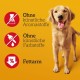 Pedigree Dog Treats, Giant Bone for Small, Medium or Large Dogs, Various Flavours. Pedigree Dog Treats, Giant Bone for Small, Medium or Large Dogs, Various Flavours.