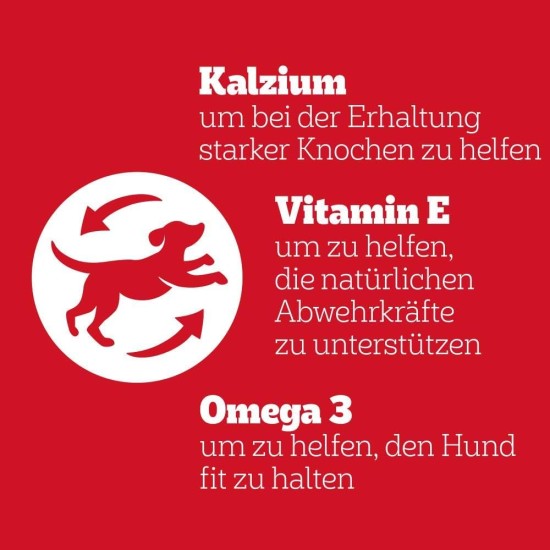 Pedigree Hundesnacks Biscrok Multi Mix, 6er Pack, 6x500g – Knusprige Leckerlis als Hundekeks in 3 Geschmacksrichtungen, ideal für das Training oder für zwischendurch Pedigree Hundesnacks Biscrok Multi Mix, 6er Pack, 6x500g – Knusprige Leckerlis als Hundekeks in 3 Geschmacksrichtungen, ideal für das Training oder für zwischendurch