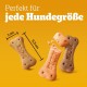 Pedigree Hundesnacks Biscrok Multi Mix, 6er Pack, 6x500g – Knusprige Leckerlis als Hundekeks in 3 Geschmacksrichtungen, ideal für das Training oder für zwischendurch Pedigree Hundesnacks Biscrok Multi Mix, 6er Pack, 6x500g – Knusprige Leckerlis als Hundekeks in 3 Geschmacksrichtungen, ideal für das Training oder für zwischendurch
