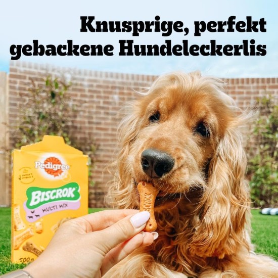 Pedigree Hundesnacks Biscrok Multi Mix, 6er Pack, 6x500g – Knusprige Leckerlis als Hundekeks in 3 Geschmacksrichtungen, ideal für das Training oder für zwischendurch Pedigree Hundesnacks Biscrok Multi Mix, 6er Pack, 6x500g – Knusprige Leckerlis als Hundekeks in 3 Geschmacksrichtungen, ideal für das Training oder für zwischendurch