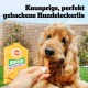 Pedigree Hundesnacks Biscrok Multi Mix, 6er Pack, 6x500g – Knusprige Leckerlis als Hundekeks in 3 Geschmacksrichtungen, ideal für das Training oder für zwischendurch Pedigree Hundesnacks Biscrok Multi Mix, 6er Pack, 6x500g – Knusprige Leckerlis als Hundekeks in 3 Geschmacksrichtungen, ideal für das Training oder für zwischendurch