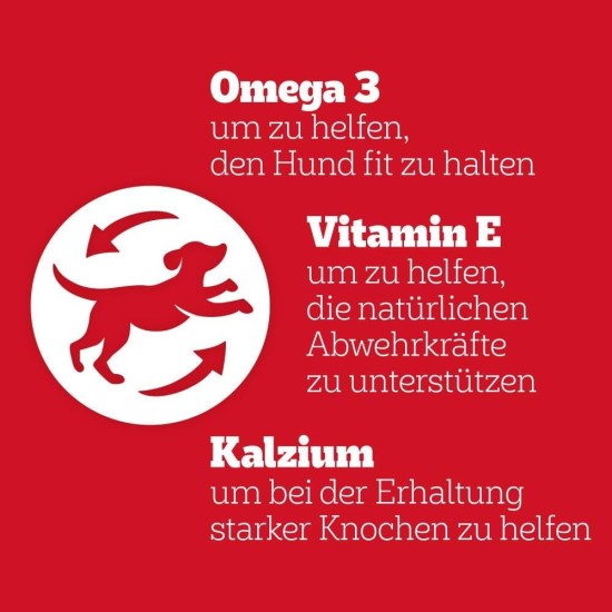 Pedigree Hundesnacks Leckerbissen Mini–Happen, 6er Pack, 6x140g – Hundekekse mit Rind– und Käsegeschmack, ideal für das Training oder für zwischendurch Pedigree Hundesnacks Leckerbissen Mini–Happen, 6er Pack, 6x140g – Hundekekse mit Rind– und Käsegeschmack, ideal für das Training oder für zwischendurch