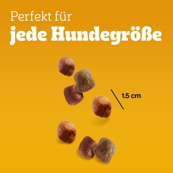 Pedigree Hundesnacks Leckerbissen Mini–Happen, 6er Pack, 6x140g – Hundekekse mit Rind– und Käsegeschmack, ideal für das Training oder für zwischendurch Pedigree Hundesnacks Leckerbissen Mini–Happen, 6er Pack, 6x140g – Hundekekse mit Rind– und Käsegeschmack, ideal für das Training oder für zwischendurch