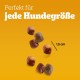 Pedigree Hundesnacks Leckerbissen Mini–Happen, 6er Pack, 6x140g – Hundekekse mit Rind– und Käsegeschmack, ideal für das Training oder für zwischendurch Pedigree Hundesnacks Leckerbissen Mini–Happen, 6er Pack, 6x140g – Hundekekse mit Rind– und Käsegeschmack, ideal für das Training oder für zwischendurch
