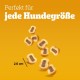 Pedigree Hundesnacks Leckerbissen Mini–Happen, 6er Pack, 6x140g – Hundekekse mit Rind– und Käsegeschmack, ideal für das Training oder für zwischendurch Pedigree Hundesnacks Leckerbissen Mini–Happen, 6er Pack, 6x140g – Hundekekse mit Rind– und Käsegeschmack, ideal für das Training oder für zwischendurch