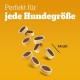 Pedigree Hundesnacks Leckerbissen Mini–Happen, 6er Pack, 6x140g – Hundekekse mit Rind– und Käsegeschmack, ideal für das Training oder für zwischendurch Pedigree Hundesnacks Leckerbissen Mini–Happen, 6er Pack, 6x140g – Hundekekse mit Rind– und Käsegeschmack, ideal für das Training oder für zwischendurch