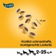 Pedigree Hundesnacks Leckerbissen Mini–Happen, 6er Pack, 6x140g – Hundekekse mit Rind– und Käsegeschmack, ideal für das Training oder für zwischendurch Pedigree Hundesnacks Leckerbissen Mini–Happen, 6er Pack, 6x140g – Hundekekse mit Rind– und Käsegeschmack, ideal für das Training oder für zwischendurch