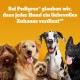 Pedigree Leckerbissen Small Dog Treats, Ideal for Training or for Between, Different Sorts Pedigree Leckerbissen Small Dog Treats, Ideal for Training or for Between, Different Sorts