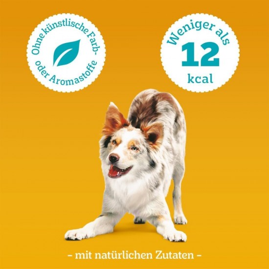 Pedigree Leckerbissen Small Dog Treats, Ideal for Training or for Between, Different Sorts Pedigree Leckerbissen Small Dog Treats, Ideal for Training or for Between, Different Sorts