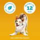 Pedigree Leckerbissen Small Dog Treats, Ideal for Training or for Between, Different Sorts Pedigree Leckerbissen Small Dog Treats, Ideal for Training or for Between, Different Sorts