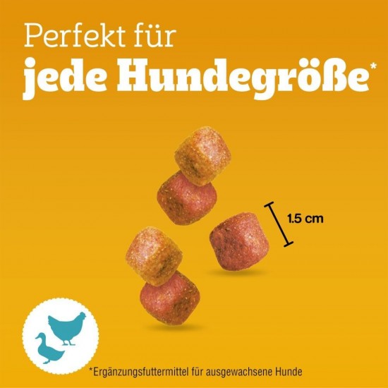 Pedigree Leckerbissen Small Dog Treats, Ideal for Training or for Between, Different Sorts Pedigree Leckerbissen Small Dog Treats, Ideal for Training or for Between, Different Sorts